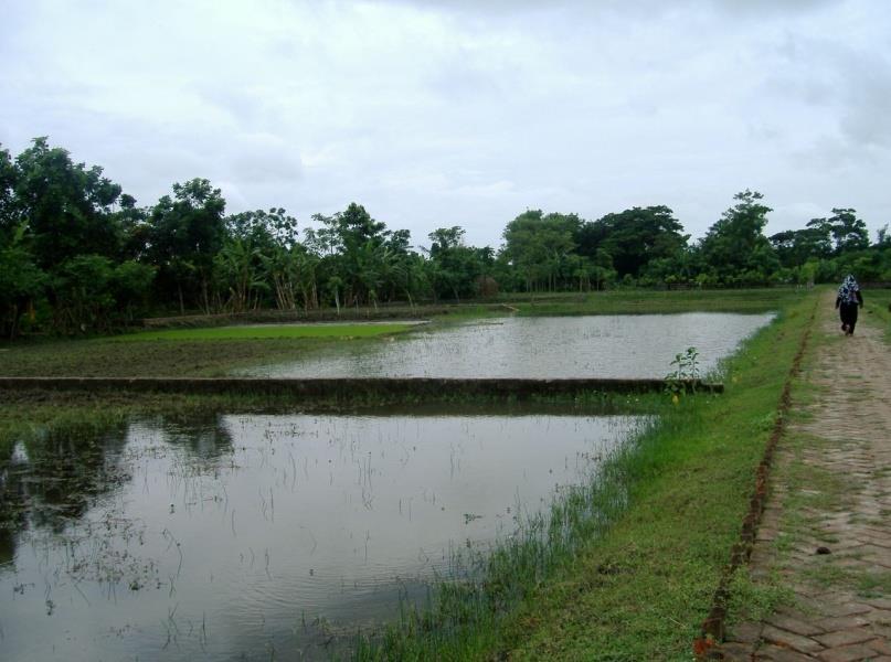 Integrated Organic Agriculture & Homestead Gardening