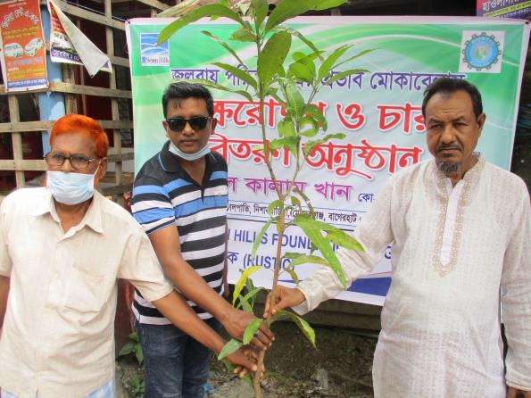 16.5 KM Coastal Roadside Strip Tree Plantation