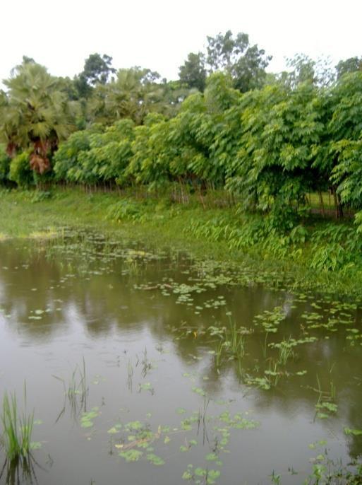 Saline Water Alternative Agriculture (Profile Page 14)