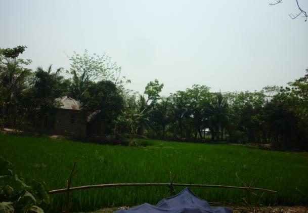 Cooperative of Farmer (Profile Page 9)