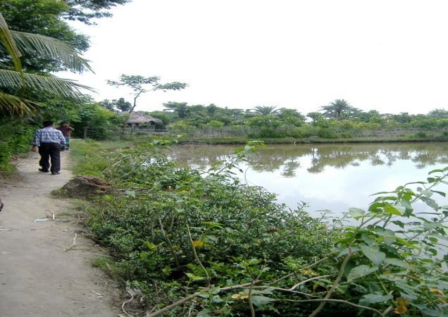 RUSTIC Coastal Community Vulnerability & Intervention